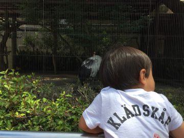 子どもと動物園